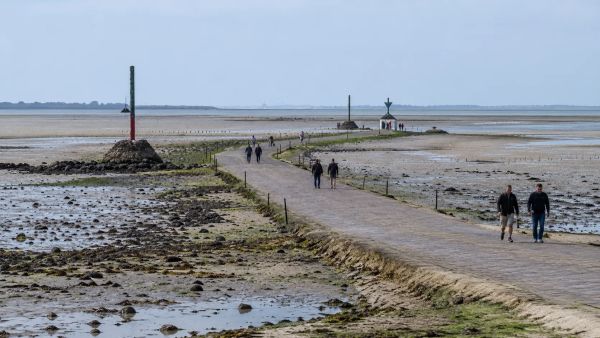 Visiter les incontournables de la Vendée : vivre une expérience mémorable